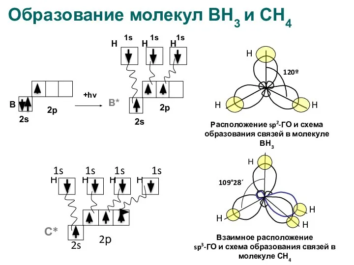 Образование молекул ВН3 и СН4