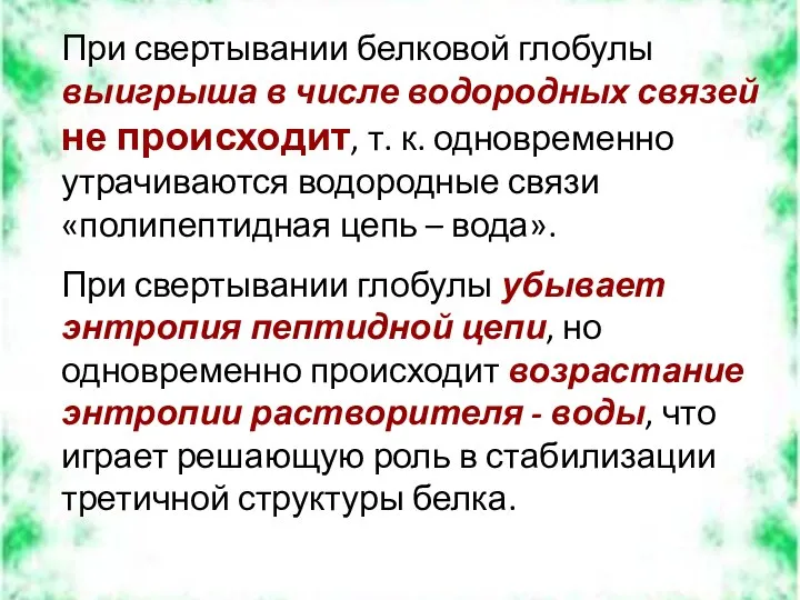 При свертывании белковой глобулы выигрыша в числе водородных связей не происходит,