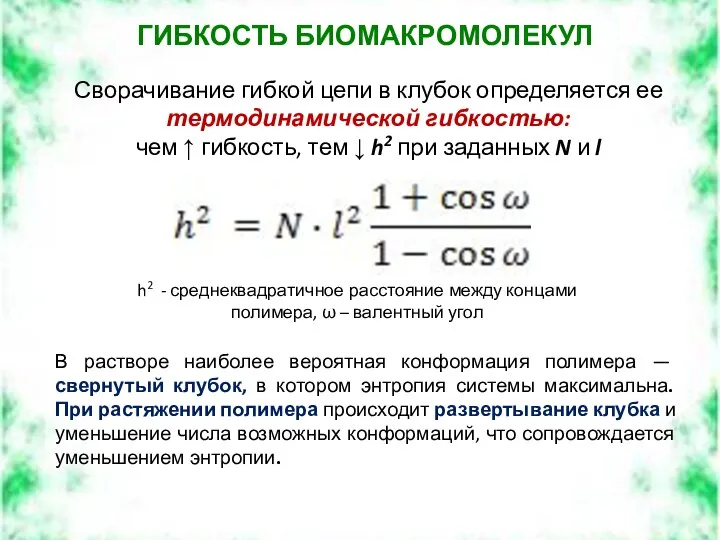 Сворачивание гибкой цепи в клубок определяется ее термодинамической гибкостью: чем ↑