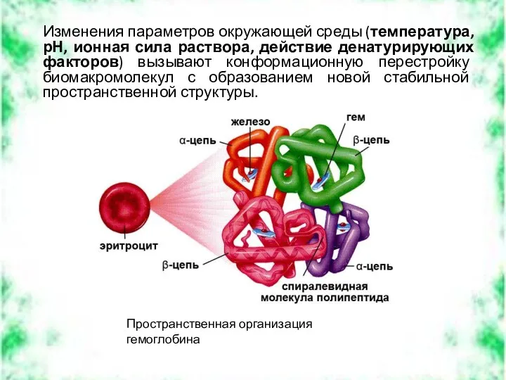 Изменения параметров окружающей среды (температура, рН, ионная сила раствора, действие денатурирующих