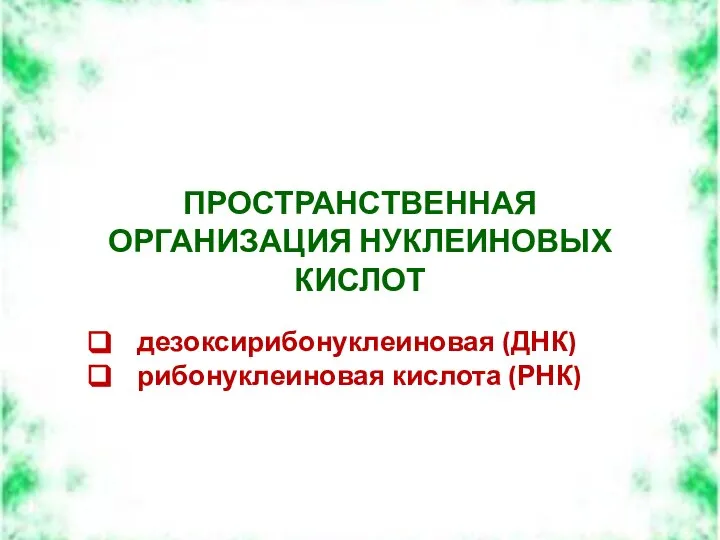 ПРОСТРАНСТВЕННАЯ ОРГАНИЗАЦИЯ НУКЛЕИНОВЫХ КИСЛОТ дезоксирибонуклеиновая (ДНК) рибонуклеиновая кислота (РНК)