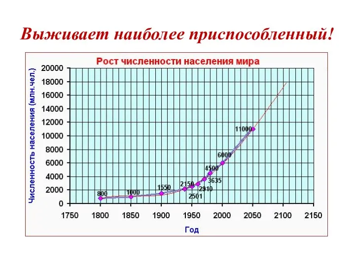 Выживает наиболее приспособленный!