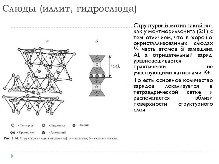 Слюды (иллит, гидрослюда) Структурный мотив такой же, как у монтмориллонита (2:1)