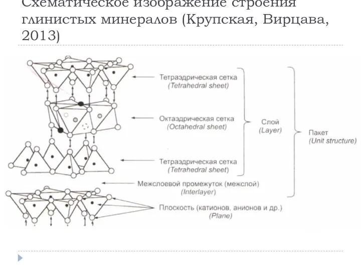 Схематическое изображение строения глинистых минералов (Крупская, Вирцава, 2013)