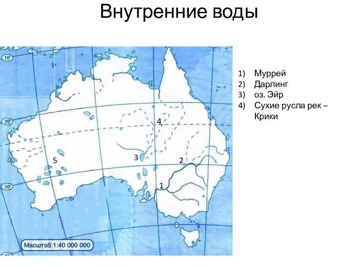 Внутренние воды 1 2 3 4 5 Муррей Дарлинг оз. Эйр Сухие русла рек – Крики