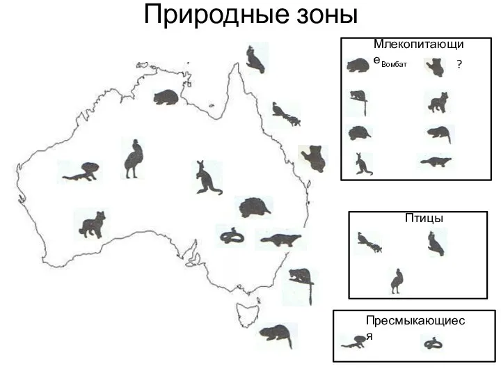 Природные зоны Млекопитающие Вомбат ? Птицы Пресмыкающиеся