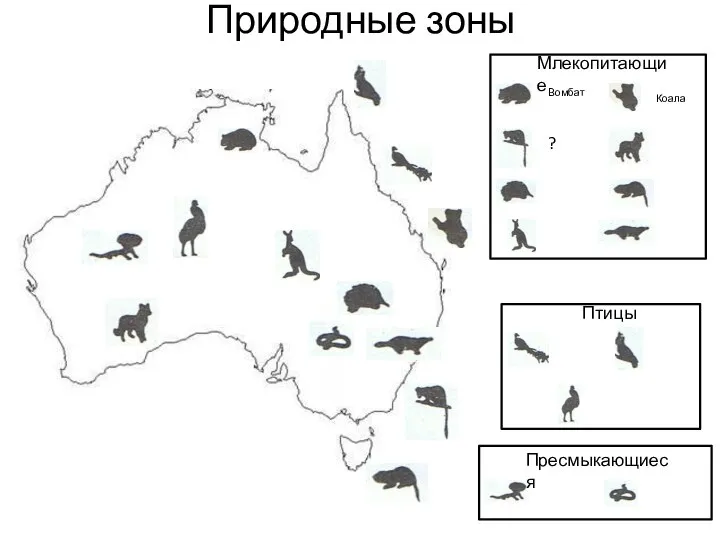 Природные зоны Млекопитающие Вомбат ? Коала Птицы Пресмыкающиеся