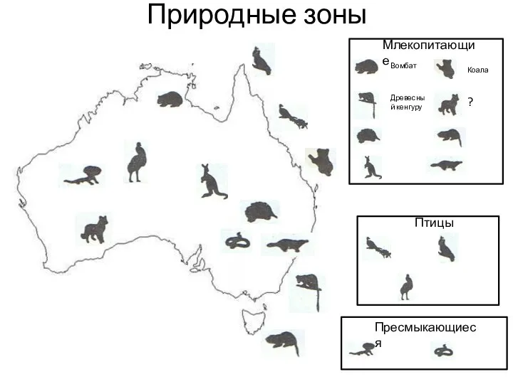 Природные зоны Млекопитающие Вомбат Древесный кенгуру Коала ? Птицы Пресмыкающиеся