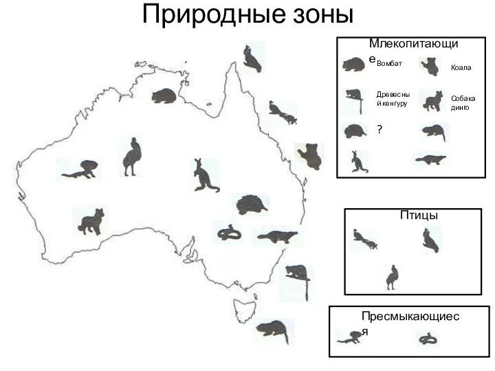 Природные зоны Млекопитающие Вомбат Древесный кенгуру ? Коала Собака динго Птицы Пресмыкающиеся