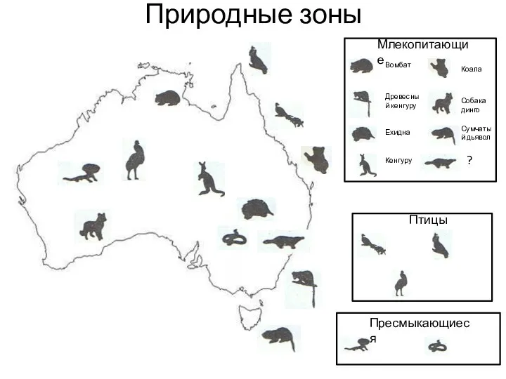 Природные зоны Млекопитающие Вомбат Древесный кенгуру Ехидна Кенгуру Коала Собака динго Сумчатый дьявол ? Птицы Пресмыкающиеся