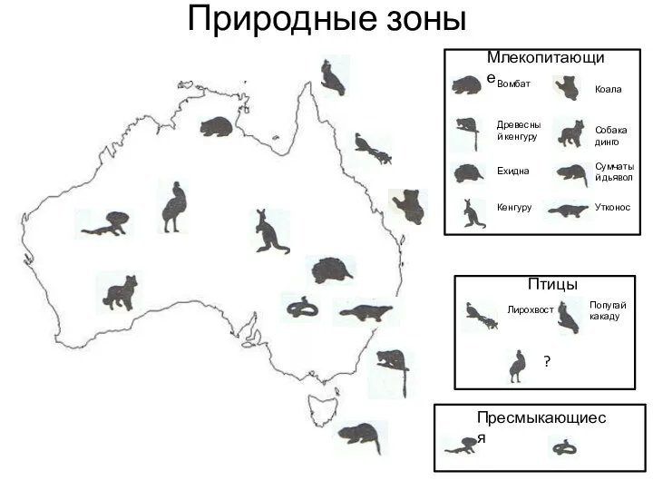 Природные зоны Млекопитающие Вомбат Древесный кенгуру Ехидна Кенгуру Коала Собака динго