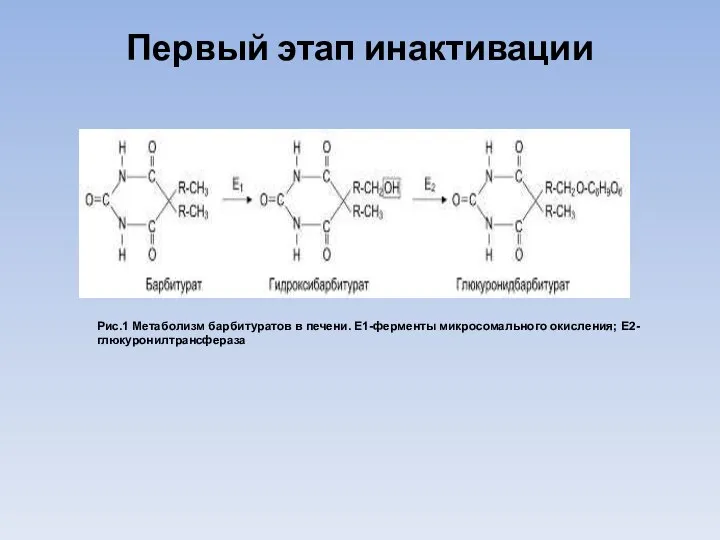 Первый этап инактивации Рис.1 Метаболизм барбитуратов в печени. E1-ферменты микросомального окисления; E2-глюкуронилтрансфераза