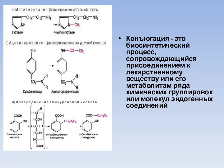 Конъюгация - это биосинтетический процесс, сопровождающийся присоединением к лекарственному веществу или