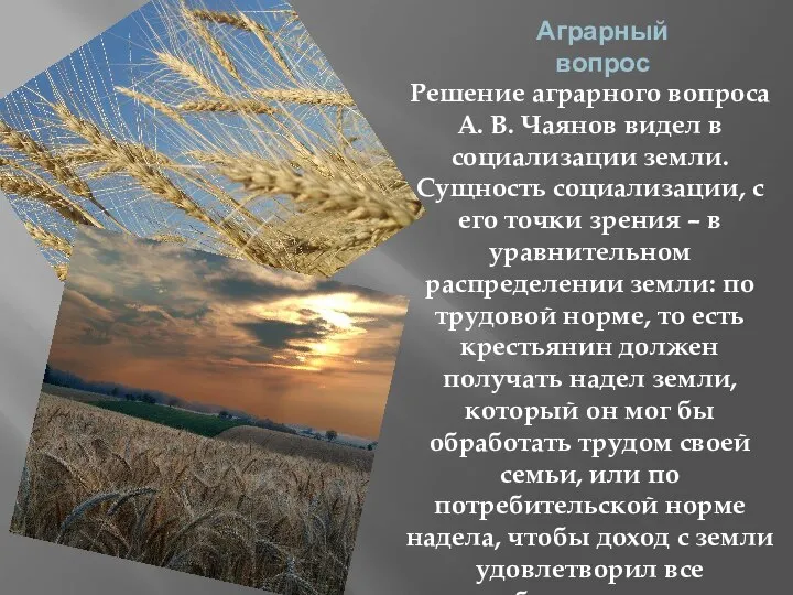 Аграрный вопрос Решение аграрного вопроса А. В. Чаянов видел в социализации