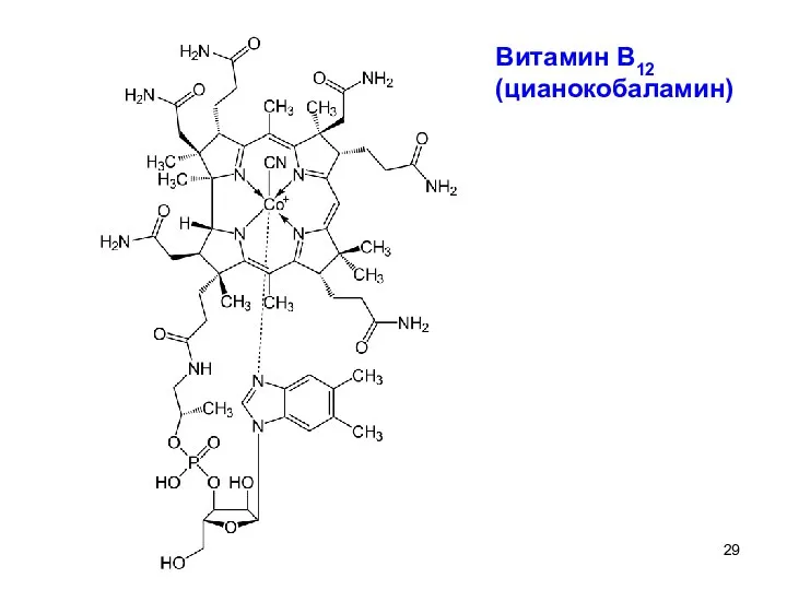 Витамин В12 (цианокобаламин)