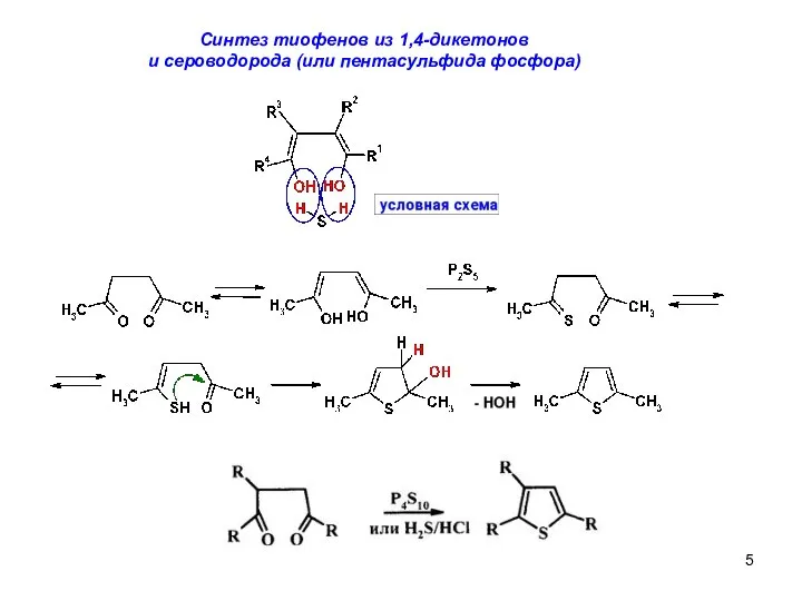 Cинтез тиофенов из 1,4-дикетонов и сероводорода (или пентасульфида фосфора)
