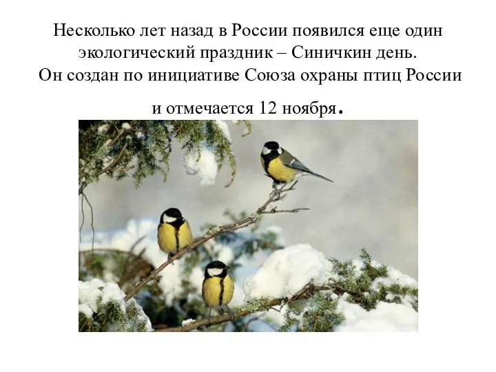 Несколько лет назад в России появился еще один экологический праздник –