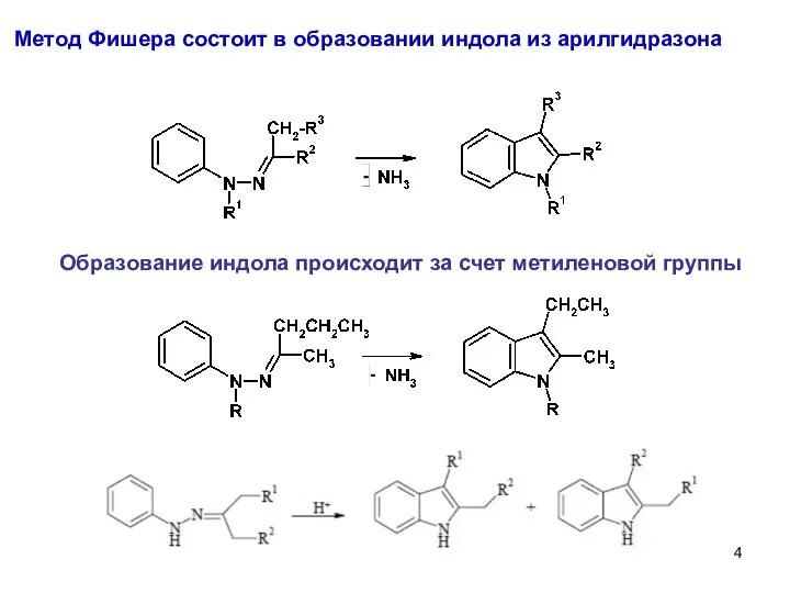 Метод Фишера состоит в образовании индола из арилгидразона Образование индола происходит за счет метиленовой группы