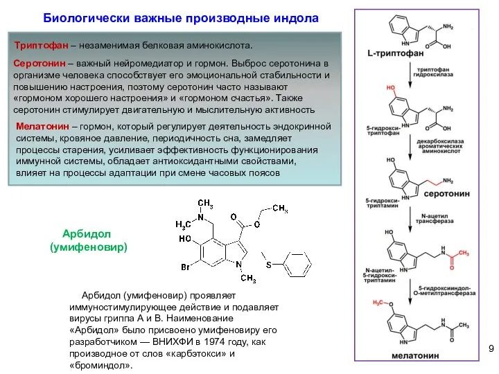 Арбидол (умифеновир) проявляет иммуностимулирующее действие и подавляет вирусы гриппа А и