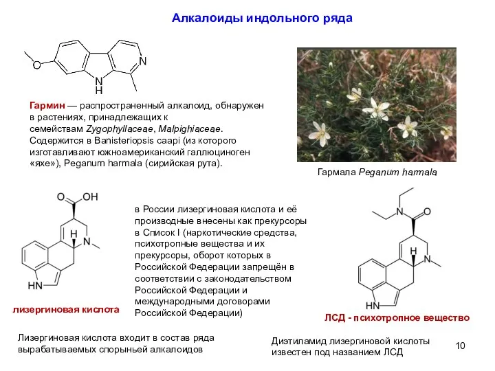 Алкалоиды индольного ряда Гармин — распространенный алкалоид, обнаружен в растениях, принадлежащих