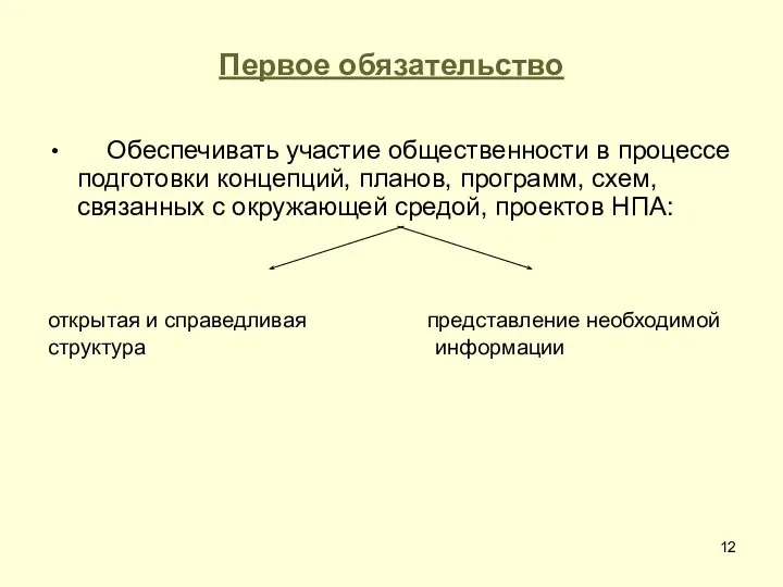 Первое обязательство Обеспечивать участие общественности в процессе подготовки концепций, планов, программ,