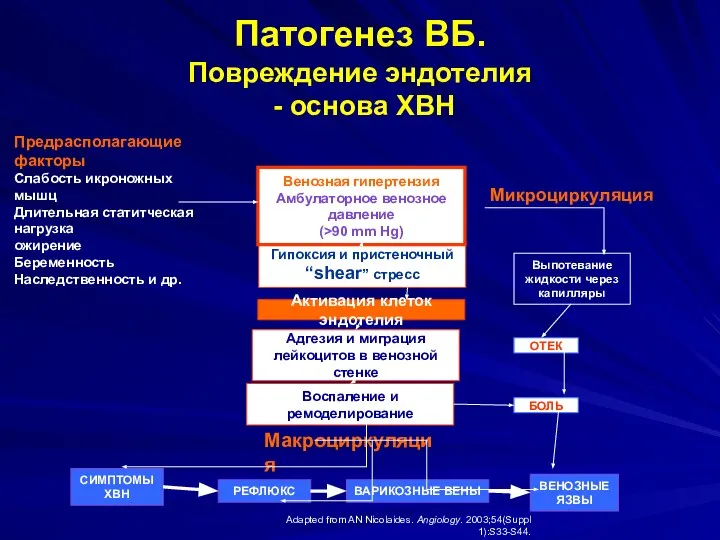 Патогенез ВБ. Повреждение эндотелия - основа ХВН ОТЕК Макроциркуляция Mикроциркуляция Предрасполагающие