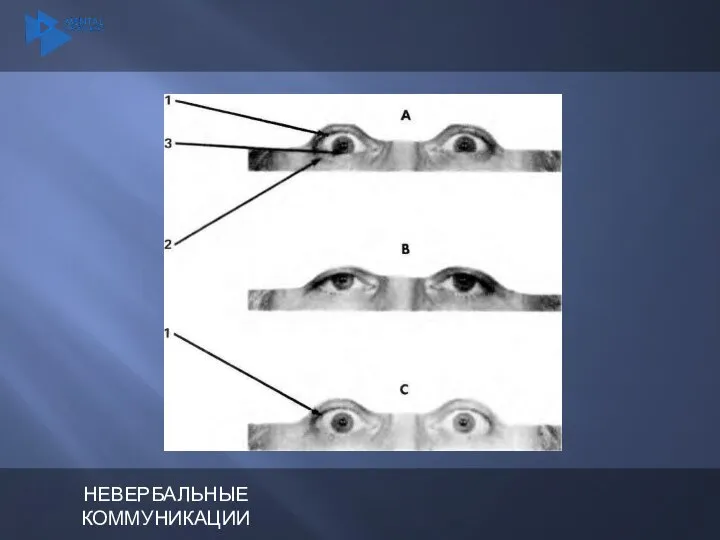 НЕВЕРБАЛЬНЫЕ КОММУНИКАЦИИ