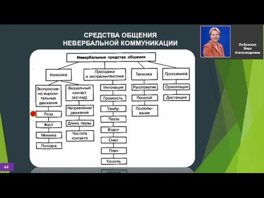 СРЕДСТВА ОБЩЕНИЯ НЕВЕРБАЛЬНОЙ КОММУНИКАЦИИ Лабунская Вера Александровна