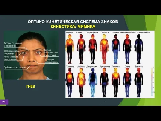 ОПТИКО-КИНЕТИЧЕСКАЯ СИСТЕМА ЗНАКОВ КИНЕСТИКА: МИМИКА ГНЕВ