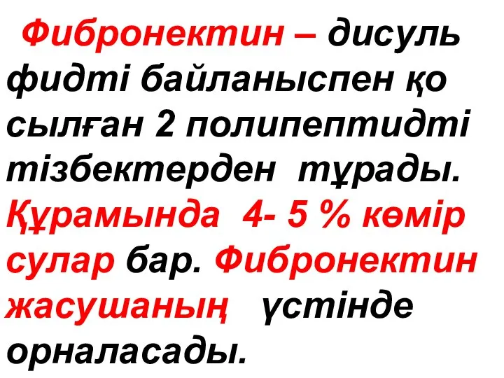 Фибронектин – диcyль фидтi байланыспен қо сылған 2 полипептидті тізбектерден тұрады.