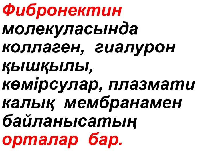 Фибронектин молекуласында коллаген, гиалурон қышқылы, көмipcyлap, плазмати калық мембранамен байланысатың орталар бар.