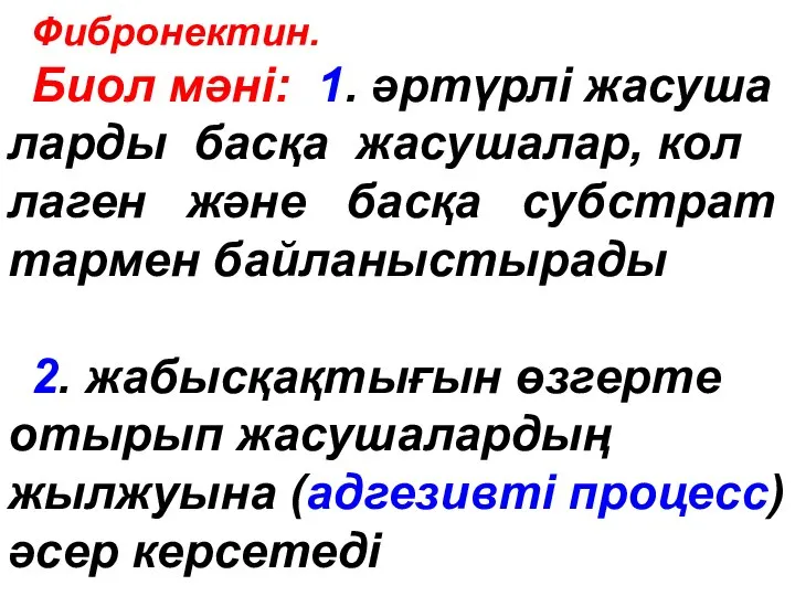 Фибронектин. Биол мәні: 1. әртүрлі жасуша ларды басқа жасушалар, кол лаген