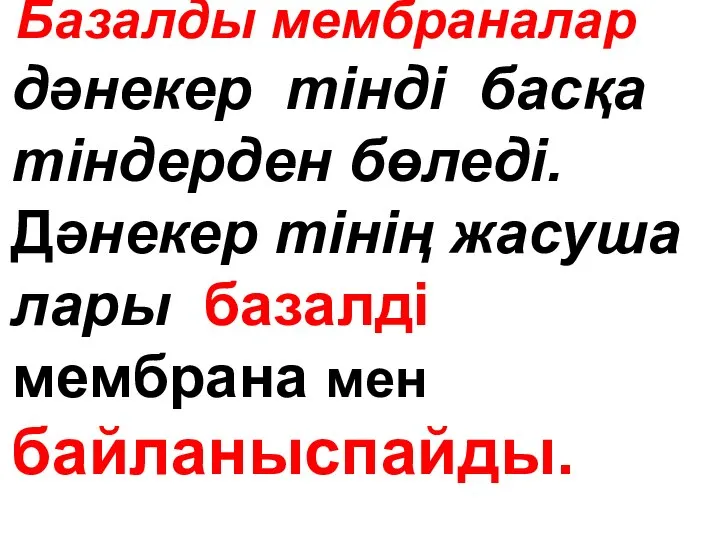 Базалды мембраналар дәнекер тінді басқа тіндерден бөледі. Дәнекер тінің жасуша лары базалді мембрана мен байланыспайды.