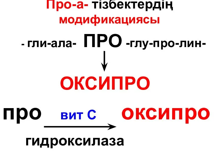 Про-а- тізбектердің модификациясы - гли-ала- ПРО -глу-про-лин- ОКСИПРО про вит С оксипро гидроксилаза