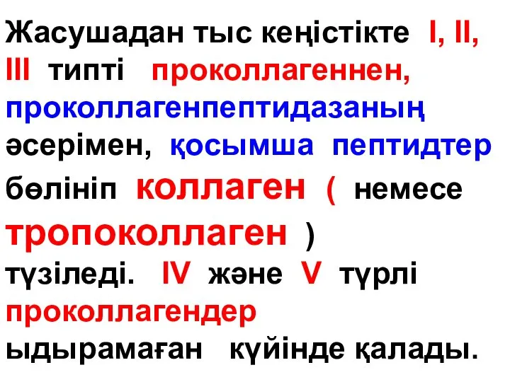 Жасушадан тыс кеңістікте I, II, III типті проколлагеннен, проколлагенпептидазаның әсерімен, қосымша