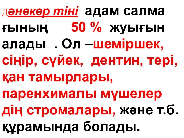 Дәнекер тіні адам салма ғының 50 % жуығын алады . Ол