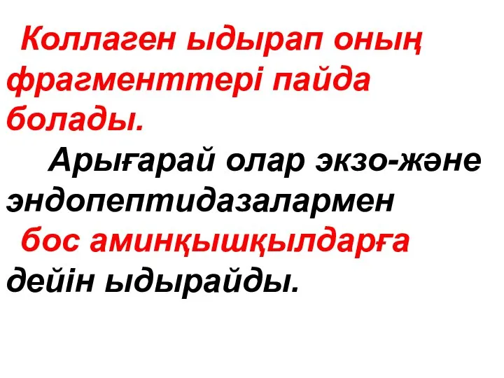 Коллаген ыдырап оның фрагменттері пайда болады. Арығарай олар экзо-және эндопептидазалармен бос аминқышқылдарға дейін ыдырайды.