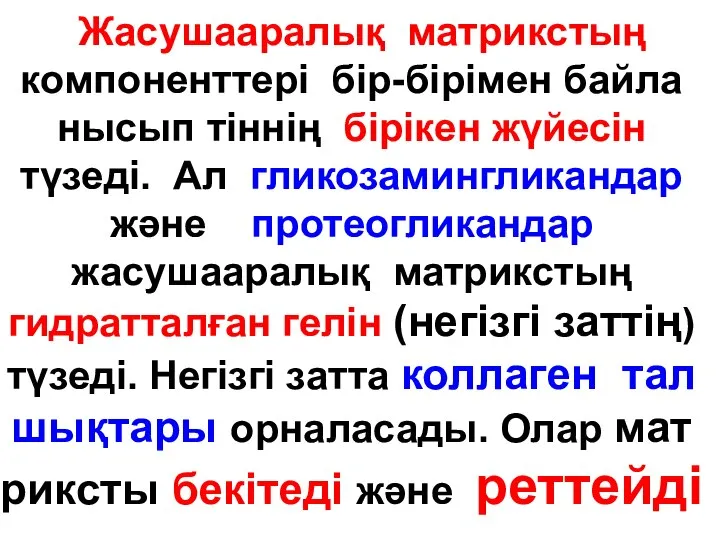 Жасушааралық матрикстың компоненттері бip-бipiмен байла нысып тіннің бipiкен жүйесін түзеді. Ал