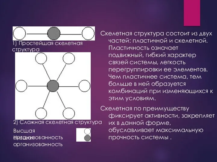 Скелетная структура состоит из двух частей: пластичной и скелетной. Пластичность означает