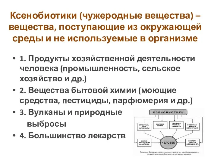 Ксенобиотики (чужеродные вещества) – вещества, поступающие из окружающей среды и не