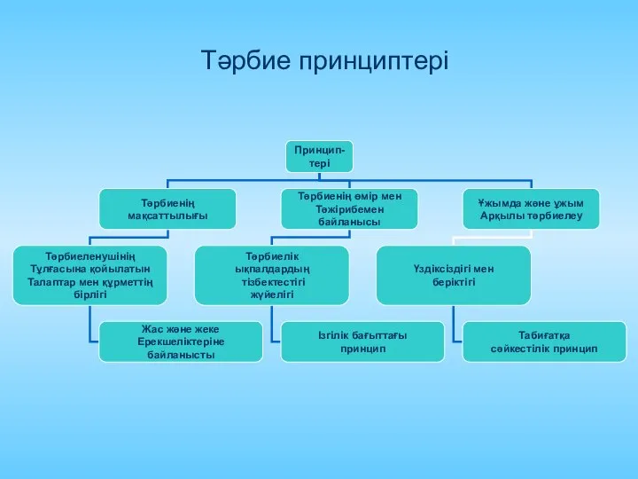 Тәрбие принциптері