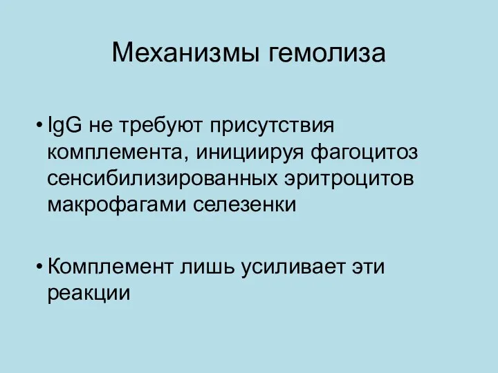 Механизмы гемолиза IgG не требуют присутствия комплемента, инициируя фагоцитоз сенсибилизированных эритроцитов