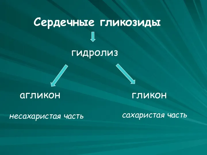 Сердечные гликозиды гидролиз агликон гликон несахаристая часть сахаристая часть