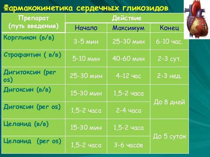 Фармакокинетика сердечных гликозидов