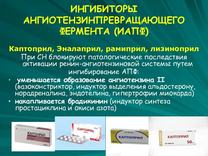 ИНГИБИТОРЫ АНГИОТЕНЗИНПРЕВРАЩАЮЩЕГО ФЕРМЕНТА (ИАПФ) Каптоприл, Эналаприл, рамиприл, лизиноприл При СН блокируют