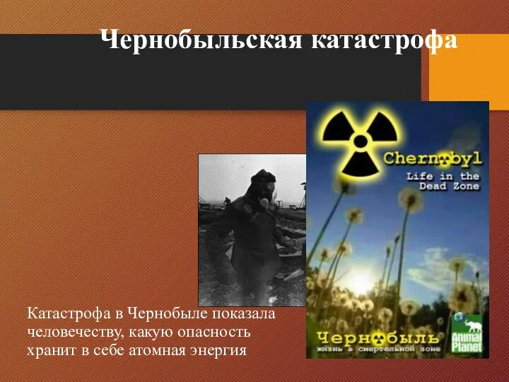 Катастрофа в Чернобыле показала человечеству, какую опасность хранит в себе атомная энергия Чернобыльская катастрофа