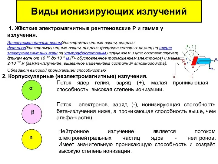 Виды ионизирующих излучений 1. Жёсткие электромагнитные рентгеновские Р и гамма γ