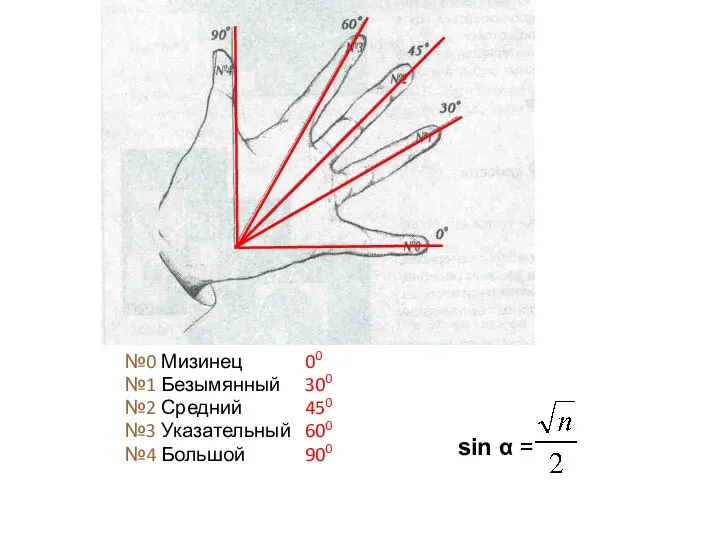 №0 Мизинец 00 №1 Безымянный 300 №2 Средний 450 №3 Указательный 600 №4 Большой 900