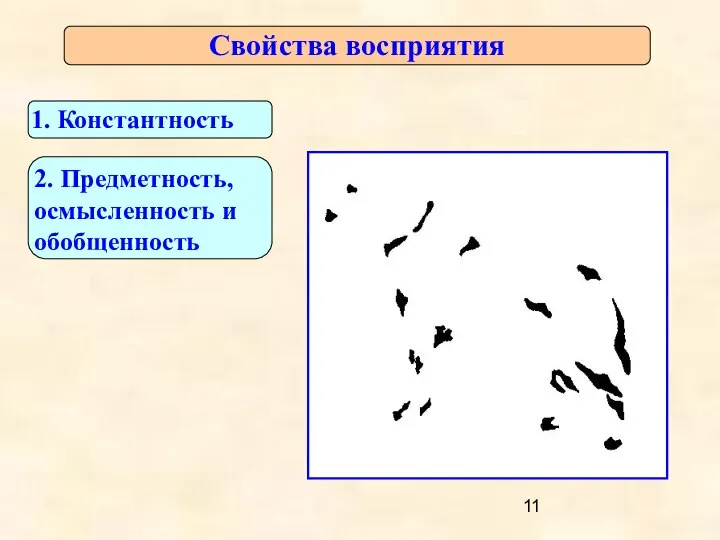 Свойства восприятия 1. Константность 2. Предметность, осмысленность и обобщенность