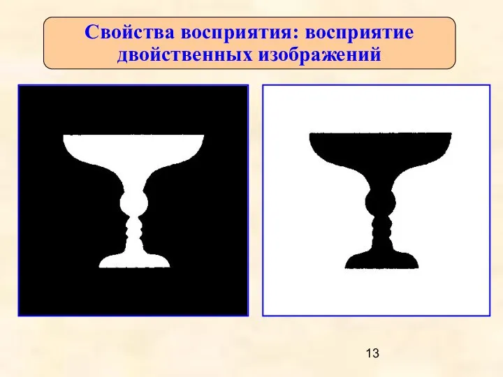 Свойства восприятия: восприятие двойственных изображений